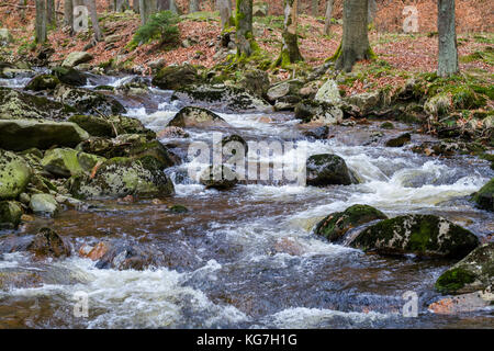Ilsetal Nationalpark Harz Banque D'Images