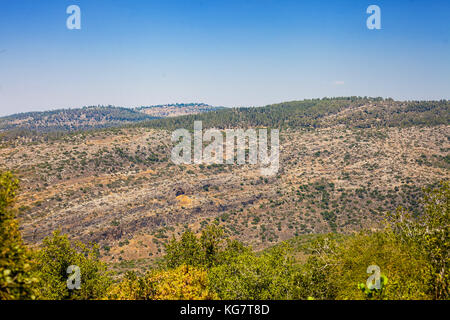 Paysage de collines avec des forêts et les niveaux de terrasse autour de Jérusalem Banque D'Images