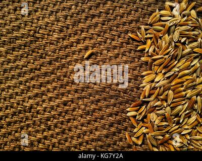 Riz paddy non décortiqué sur fond de texture gunnypack.espace de copie pour l'écriture. Banque D'Images