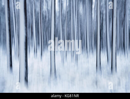Paysage d'hiver avec des arbres et de la neige. C'est prises en secouant légèrement l'appareil photo en longue exposition. Banque D'Images