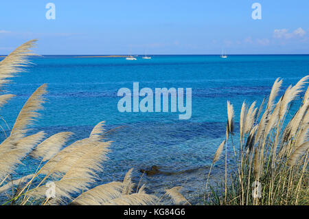 Proche de la plage de La Pelosa, Stintino, Sardaigne, Italie Banque D'Images