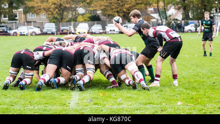 Brentwood, Essex, Royaume-Uni. 4 novembre, 2017. brentwood Rugby Club (27) vs north walsham rfc (10) joué à Brentwood en mêlée. crédit : Ian Davidson/Alamy live news Banque D'Images