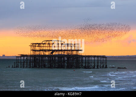 Brighton, Royaume-Uni, le 4 novembre 2017. Un troupeau de milliers d'étoiles forme des murmures au-dessus de la mer et de la jetée ouest abandonnée à Brighton, dans l'est du Sussex. Les étoiles britanniques affluent en grand nombre chaque automne, tandis que les jours se rafraîchissent, avant de former de grands roostes communautaires pendant les mois d'hiver froids. Crédit: Imagetraceur News et Sports/Alay Live News Banque D'Images