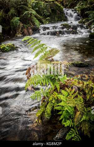 Rivière qui coule sur les rochers, dans la région de Derwentwater Parc National de Lake District, Cumbria, Angleterre Banque D'Images