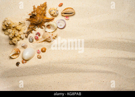 Sur un sable ondulées Banque D'Images