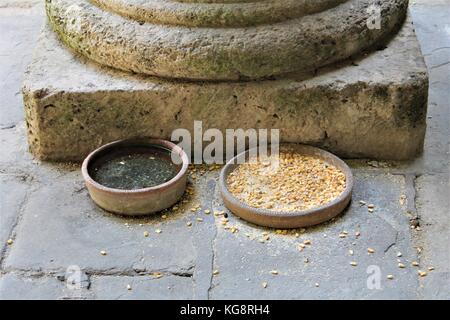 Des plats d'argile, sous une colonne en béton, avec de l'eau et des graines pour nourrir les oiseaux, Havanah, Cuba. Banque D'Images