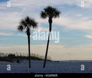 Deux palmiers sur la plage, Saint Pete Beach, Florida, USA Banque D'Images