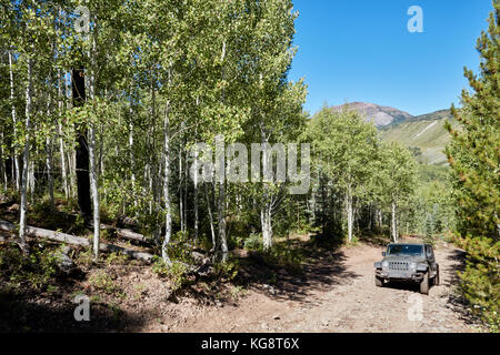 4x4 bien que les forêts de conduite sur un chemin de montagne en terrain alpin près de l'appareil photo Banque D'Images