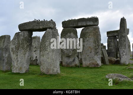 Les oiseaux sur stonehenge Banque D'Images