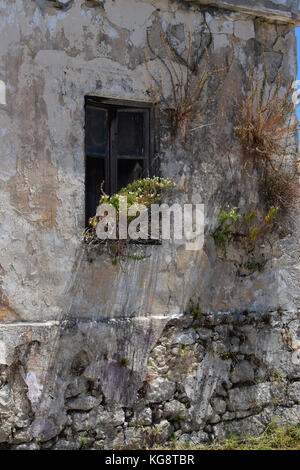 Fenêtre d'une vieille maison abandonnée dans le village de Svoronata, Céphalonie, Grèce Banque D'Images