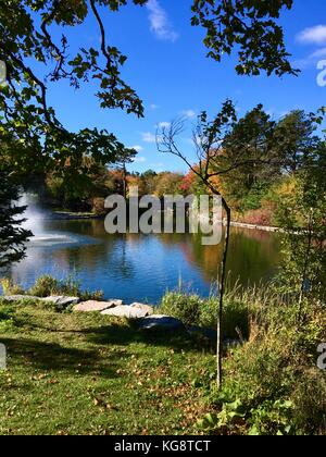 La recherche à travers l'étang dans le parc Bowring, st. john's, Terre-Neuve, les arbres en couleurs d'automne sur la rive, et se reflètent dans l'eau Banque D'Images