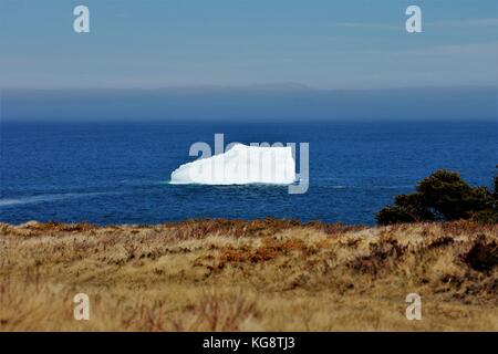 Iceberg dans la baie, Torbay, à Terre-Neuve-Labrador Banque D'Images