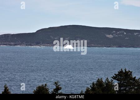 Iceberg dans la baie, Torbay, à Terre-Neuve-Labrador Banque D'Images