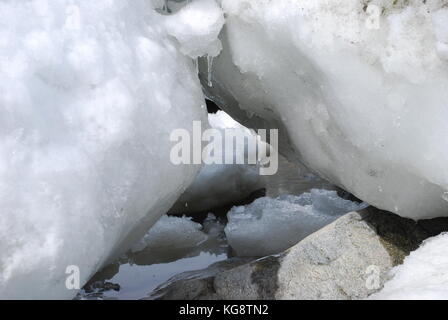 Pack de glace dans la baie, Conception Bay South, à Terre-Neuve-Labrador Banque D'Images