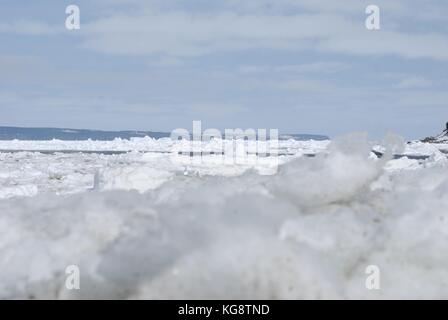 Pack de glace dans la baie, Conception Bay South, à Terre-Neuve-Labrador Banque D'Images