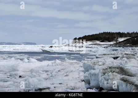 Pack de glace dans la baie, Conception Bay South, à Terre-Neuve-Labrador Banque D'Images