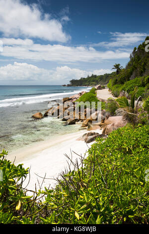 Les Seychelles, La Digue, Anse Formis, vide à côté de la plage de la côte est road Banque D'Images