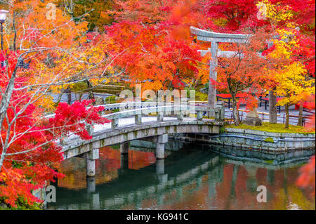 Feuillage d'automne au temple eikando à Kyoto, Japon Banque D'Images