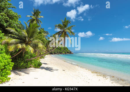 plage tropicale Banque D'Images