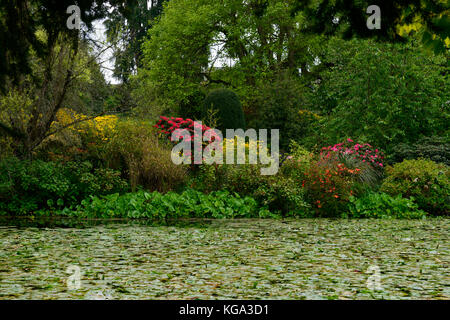 Altamont Gardens, couronne nord, lac, étang, eau, Carlow, jardin, garden trail, Carlow, sentier jardin floral RM Banque D'Images