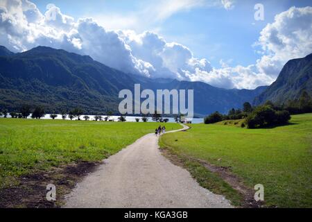 Randonnée à travers les alpages jusqu'au lac, vallée de Bohinj, parc national du Triglav, en Slovénie Banque D'Images