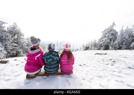 Groupe d'enfants arbre assis sur pentes, vue arrière Banque D'Images