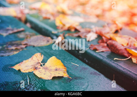 Feuilles d'automne tombées mises sur banc de parc en bois vert, fond photo avec selective focus Banque D'Images