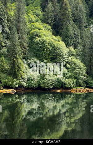 Arbres se reflétant sur l'eau, de l'Alaska Banque D'Images