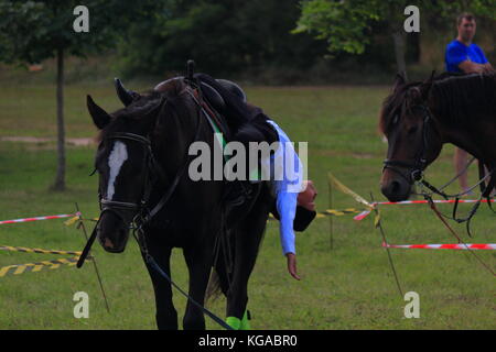 Voir les courses de chevaux. Performance des Cosaques à la périphérie de la ville Banque D'Images