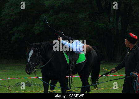 Voir les courses de chevaux. Performance des Cosaques à la périphérie de la ville Banque D'Images