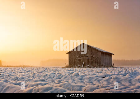 Une vieille grange chambre demeure seul sur le champs de neige du nord de la Finlande. Le soleil d'hiver se lève tard et couleurs le ciel orange. Banque D'Images