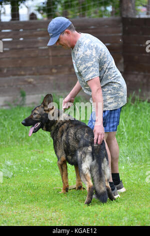 Orenbourg, Russie, 11 juin 2017 à l'année : Shepherd dog show 'couleurs de l'été 2017" Banque D'Images