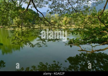 La vue sur le jardin, le lac taiping perak Banque D'Images