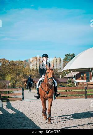 Girl rider on horse Banque D'Images