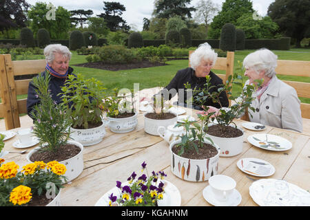 Sur la photo : Allan Hart, Val Mitchell et Joan Hart se joignent à la Tea Party dans la roseraie du designer Kirsti Davies. Kew Gardens lance le festival d'été « Indestructibles » avec une « expérience de navigation de plaisance Tutti Frutti » sur Palm House Pond conçue par Bompas & Parr, un « Patch de carottes rebondissant » et une soirée thé inspirée par « Alice au pays des merveilles » dans la roseraie. Le festival se déroule du 25 mai au 3 novembre 2013, la navigation de plaisance se termine le 1er septembre. Banque D'Images