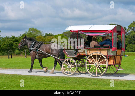 Jaunting car de touristes à Muckross House and Gardens, le Parc National de Killarney, comté de Kerry, Irlande Banque D'Images