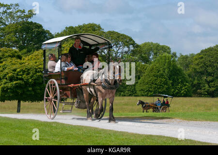Jaunting car de touristes à Muckross House and Gardens, le Parc National de Killarney, comté de Kerry, Irlande Banque D'Images