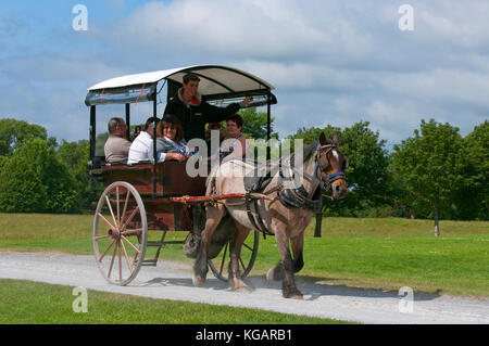 Jaunting car de touristes à Muckross House and Gardens, le Parc National de Killarney, comté de Kerry, Irlande Banque D'Images