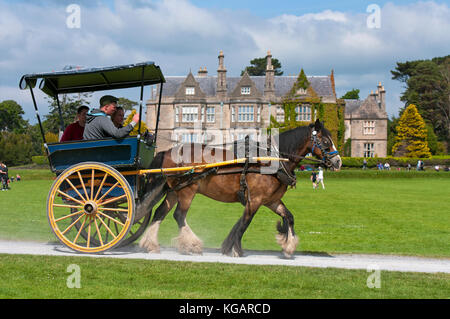 Jaunting car de touristes à Muckross House and Gardens, le Parc National de Killarney, comté de Kerry, Irlande Banque D'Images