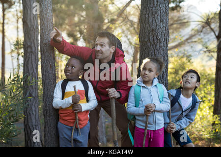 Teacher pointing at éloigné dans la forêt sur une journée ensoleillée Banque D'Images