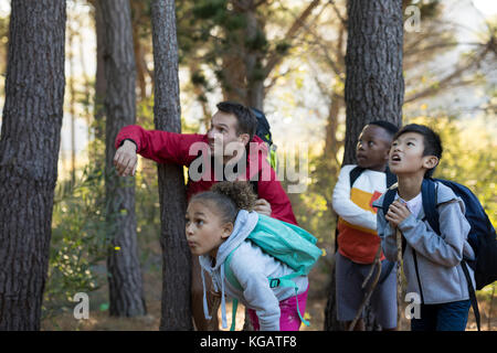 Teacher pointing at éloigné dans la forêt sur une journée ensoleillée Banque D'Images