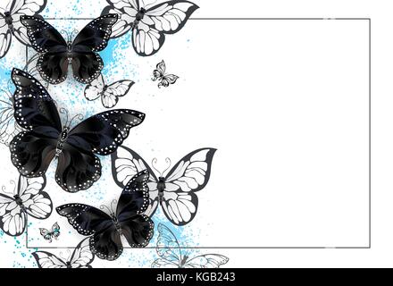 Fond blanc avec des papillons en noir et blanc sur un fond de peinture bleu blanc. design avec papillons. black butterfly. Illustration de Vecteur