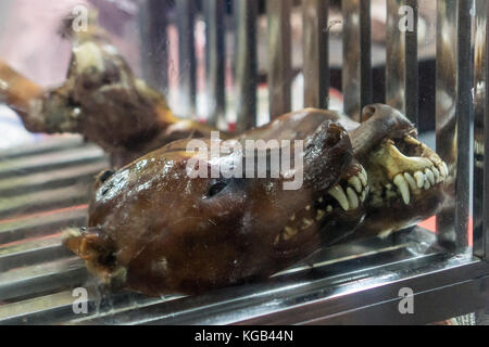 La viande de chien à Hanoi Banque D'Images