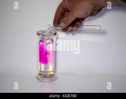 Deux liquides clairs, un alcalin, un phénolphtaléine, sont mélangés et deviennent rouge pourpre. Banque D'Images