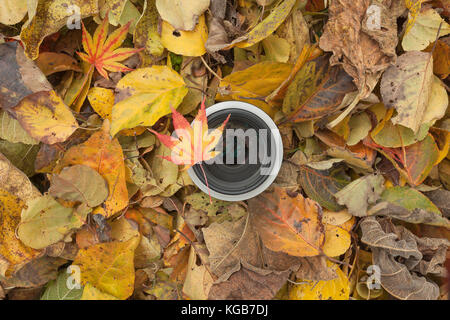 Un objectif de caméra sur un contexte à l'automne les feuilles colorées Banque D'Images