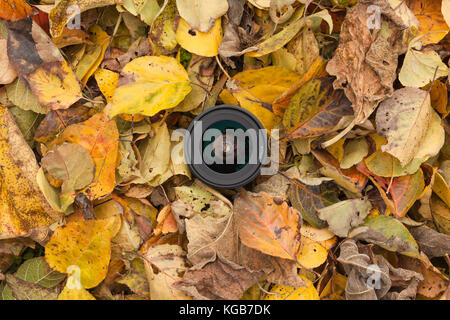 Un objectif de caméra sur un contexte à l'automne les feuilles colorées Banque D'Images