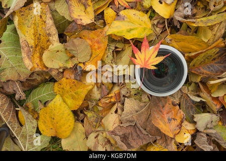 Un objectif de caméra sur un contexte à l'automne les feuilles colorées Banque D'Images