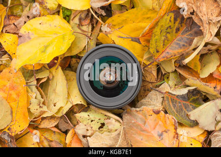 Un objectif de caméra sur un contexte à l'automne les feuilles colorées Banque D'Images