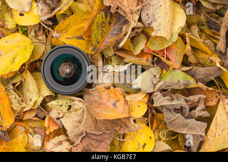 Un objectif de caméra sur un contexte à l'automne les feuilles colorées Banque D'Images