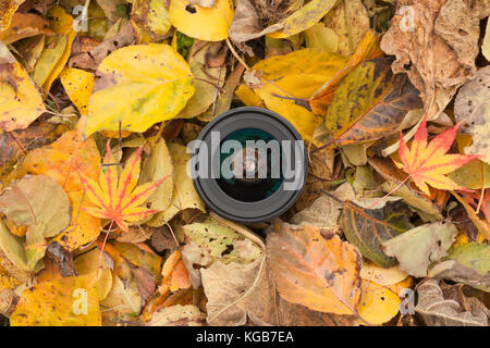 Un objectif de caméra sur un contexte à l'automne les feuilles colorées Banque D'Images